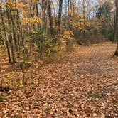 Review photo of South Trout Lake — Northern Highland State Forest by Scott M., November 11, 2022