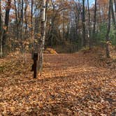 Review photo of South Trout Lake — Northern Highland State Forest by Scott M., November 11, 2022