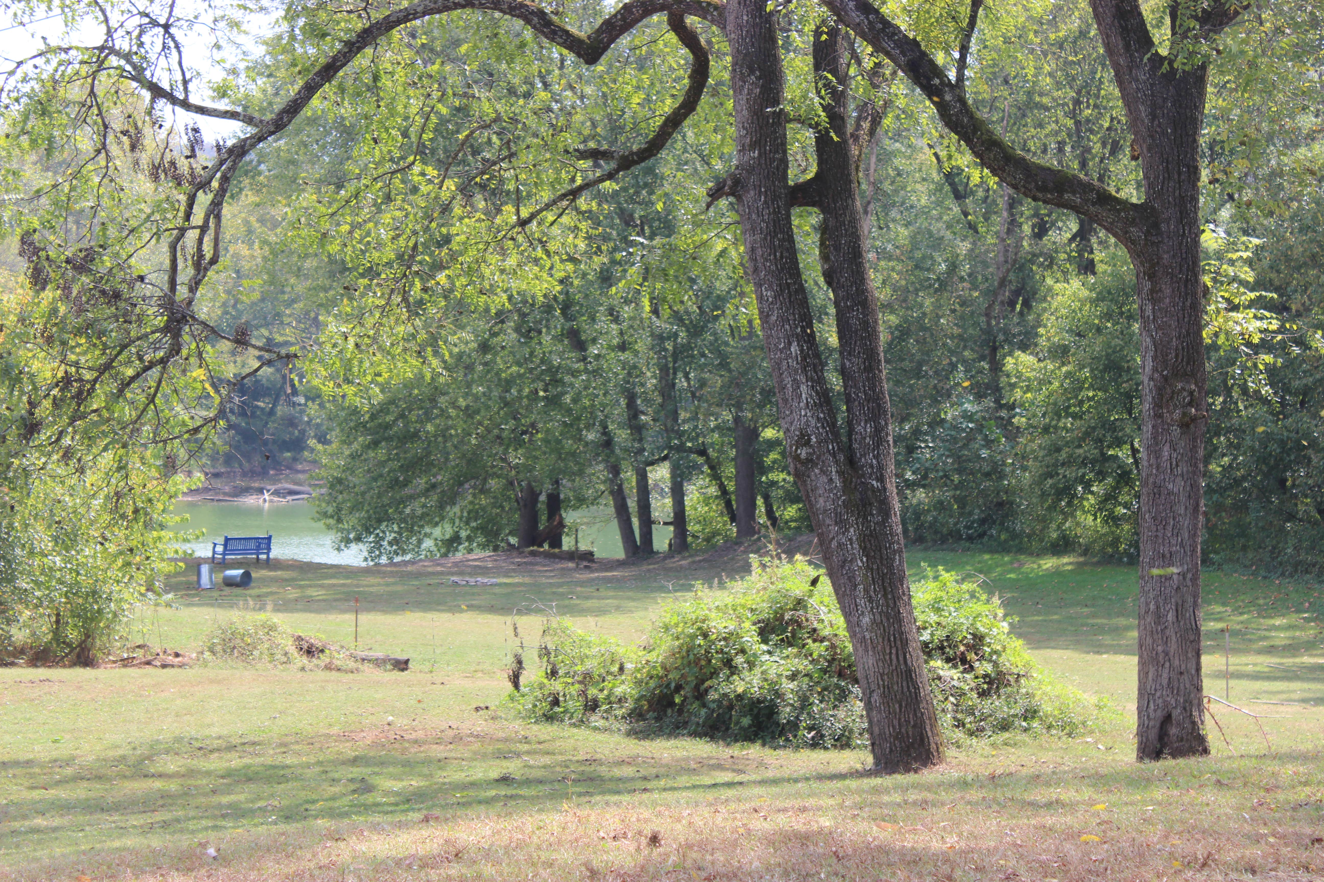 Camper-submitted photo at Wildcat Creek Farm near Stanford, KY
