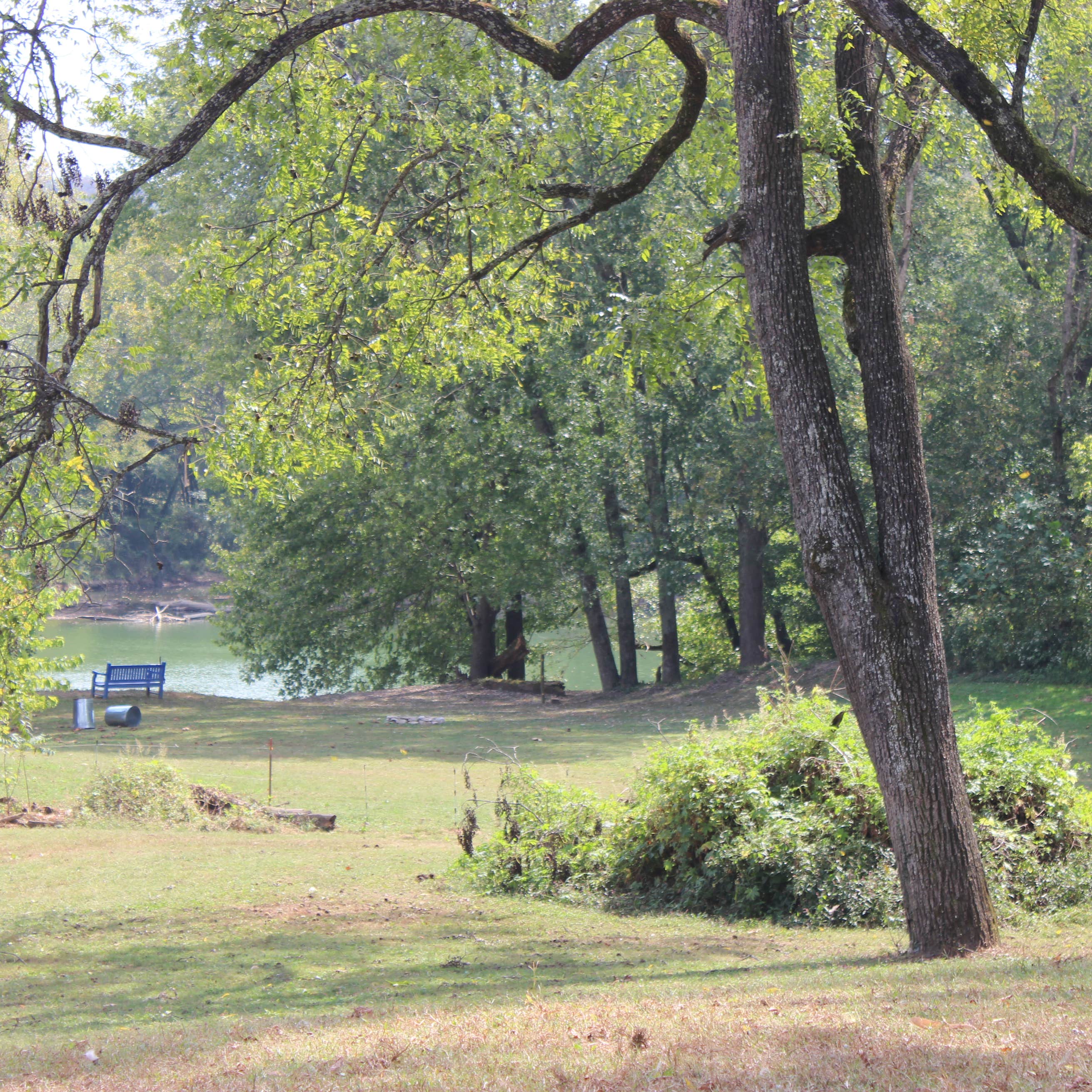 Wildcat Creek Farm Camping The Dyrt