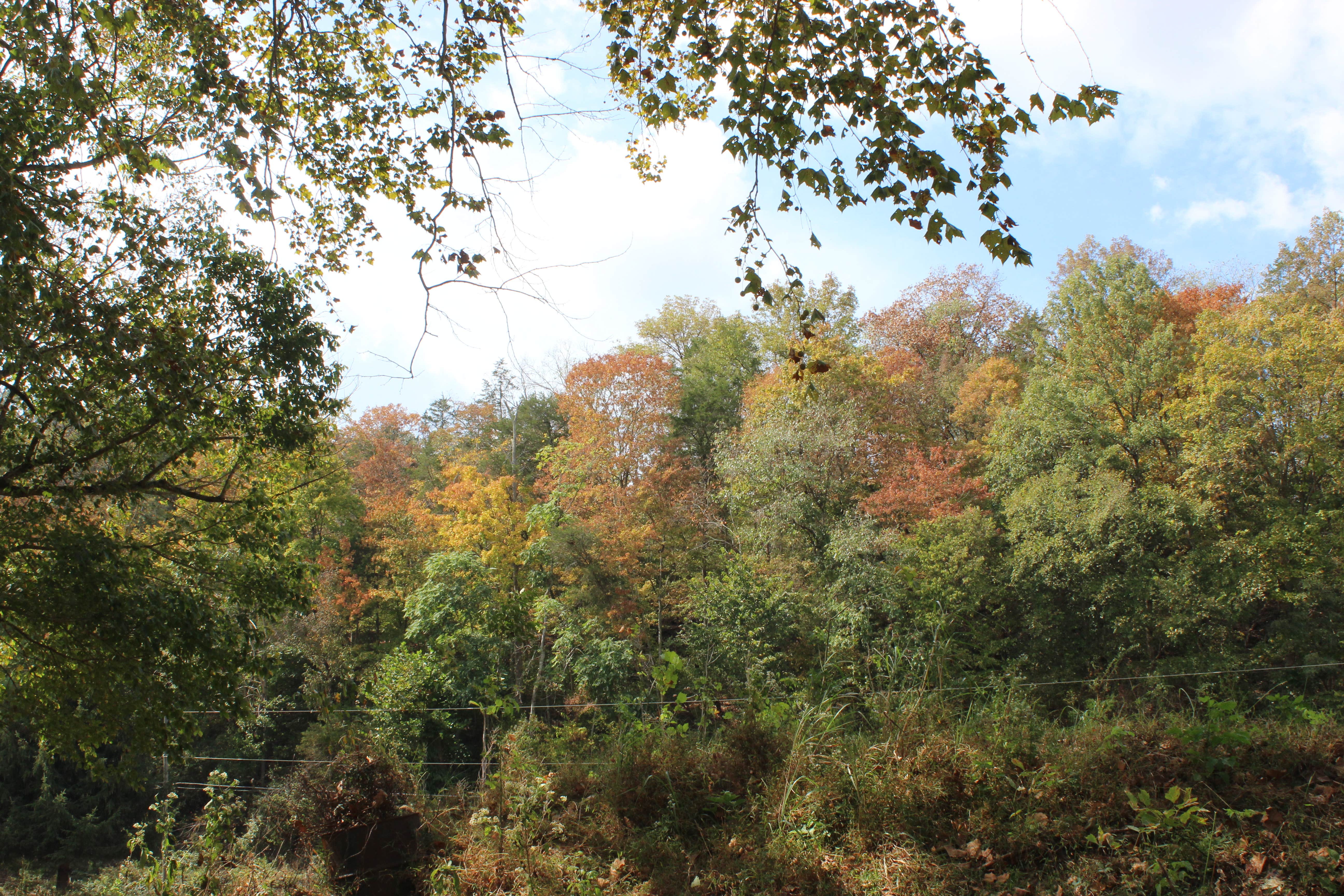 Camper-submitted photo at Wildcat Creek Farm near Stanford, KY