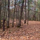 Review photo of Firefly Lake — Northern Highland State Forest by Scott M., November 11, 2022