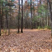 Review photo of Firefly Lake — Northern Highland State Forest by Scott M., November 11, 2022