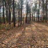 Review photo of Firefly Lake — Northern Highland State Forest by Scott M., November 11, 2022