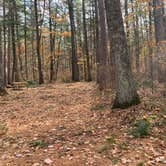 Review photo of Firefly Lake — Northern Highland State Forest by Scott M., November 11, 2022