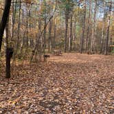 Review photo of Firefly Lake — Northern Highland State Forest by Scott M., November 11, 2022