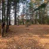 Review photo of Firefly Lake — Northern Highland State Forest by Scott M., November 11, 2022