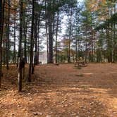 Review photo of Firefly Lake — Northern Highland State Forest by Scott M., November 11, 2022