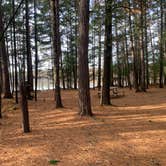 Review photo of Firefly Lake — Northern Highland State Forest by Scott M., November 11, 2022