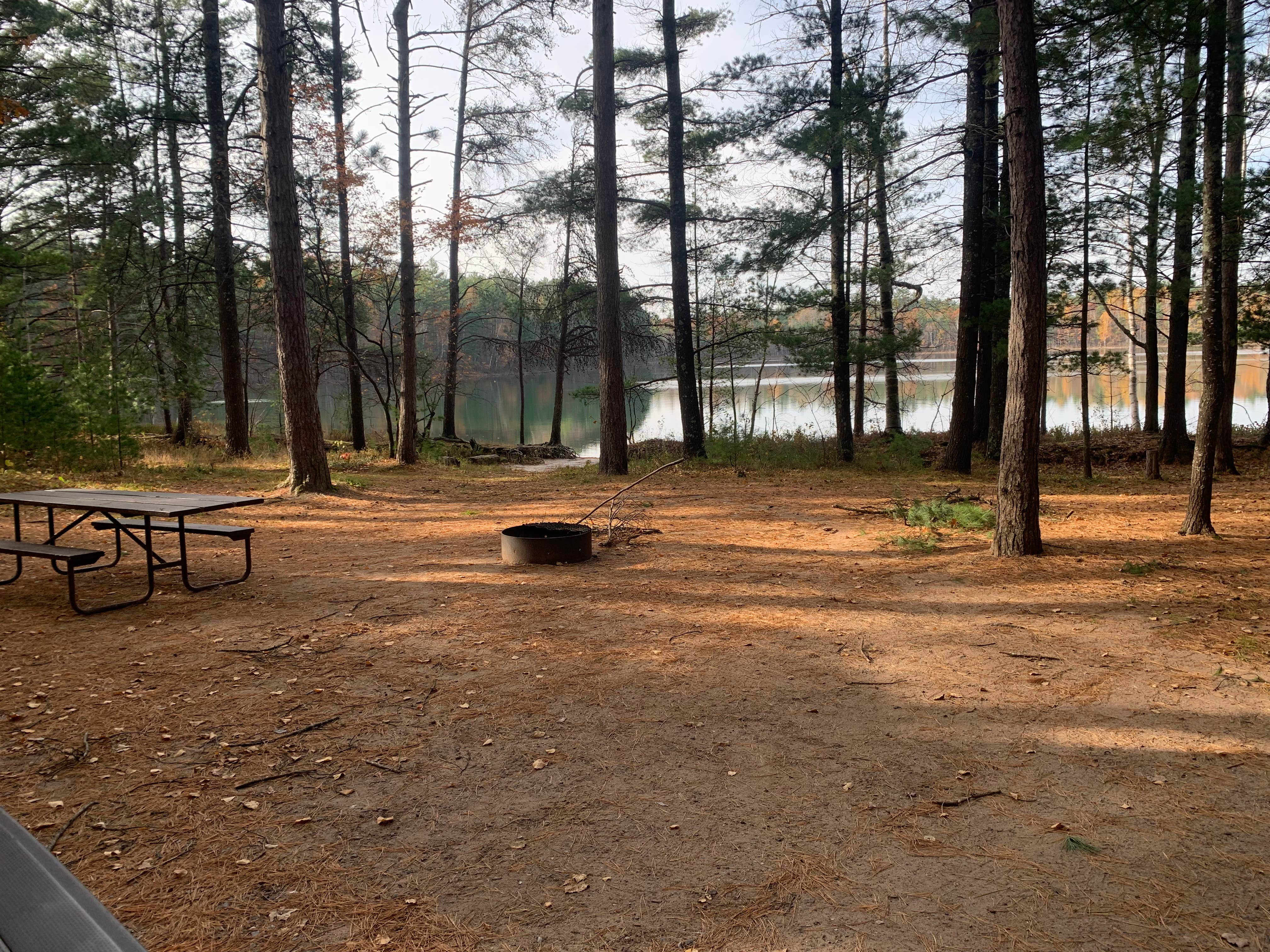 Camper-submitted photo at Firefly Lake — Northern Highland State Forest near Woodruff, WI