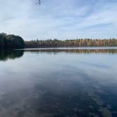 Review photo of Firefly Lake — Northern Highland State Forest by Scott M., November 11, 2022