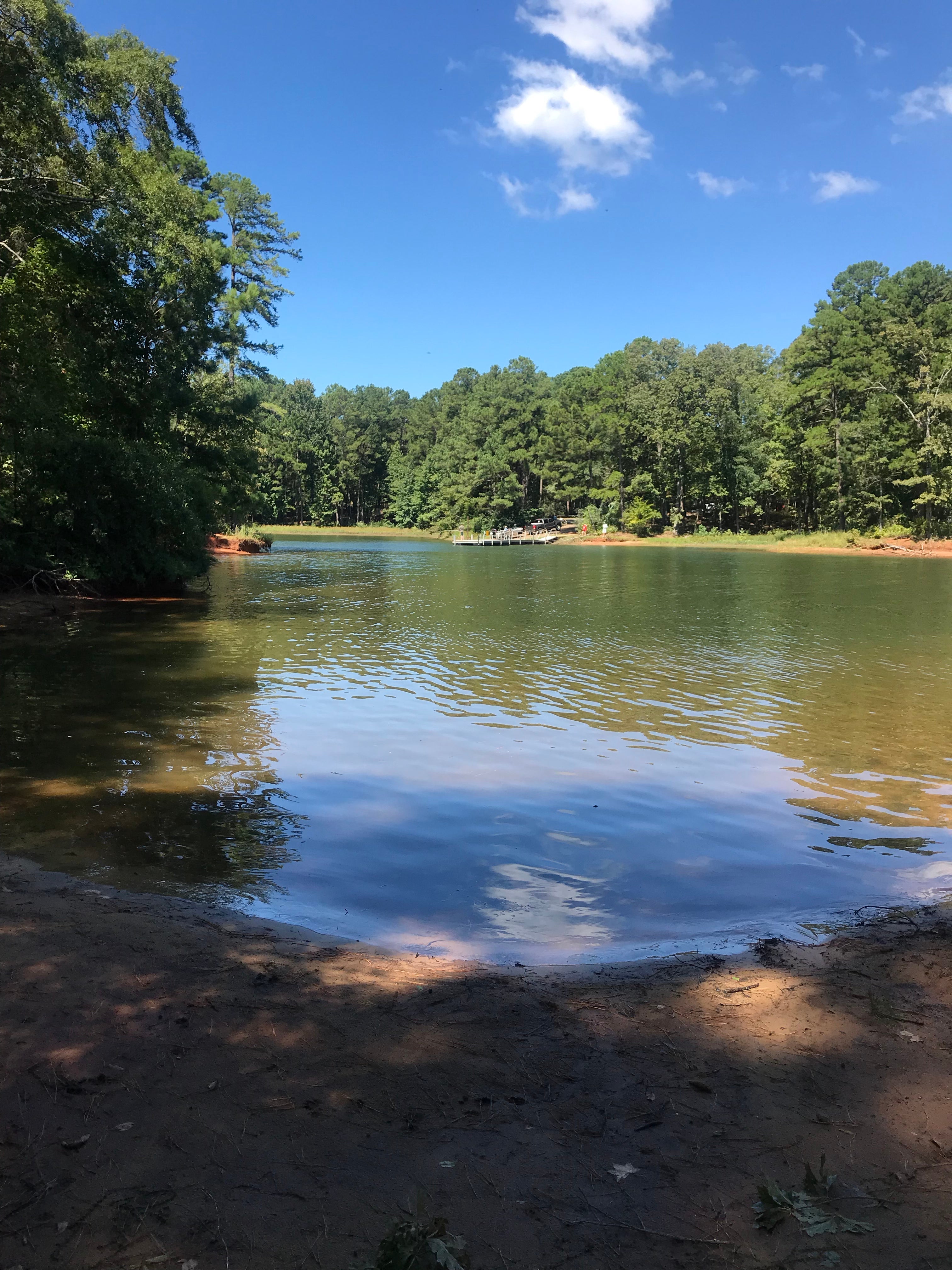 Camper submitted image from Piney Grove Campground - 3