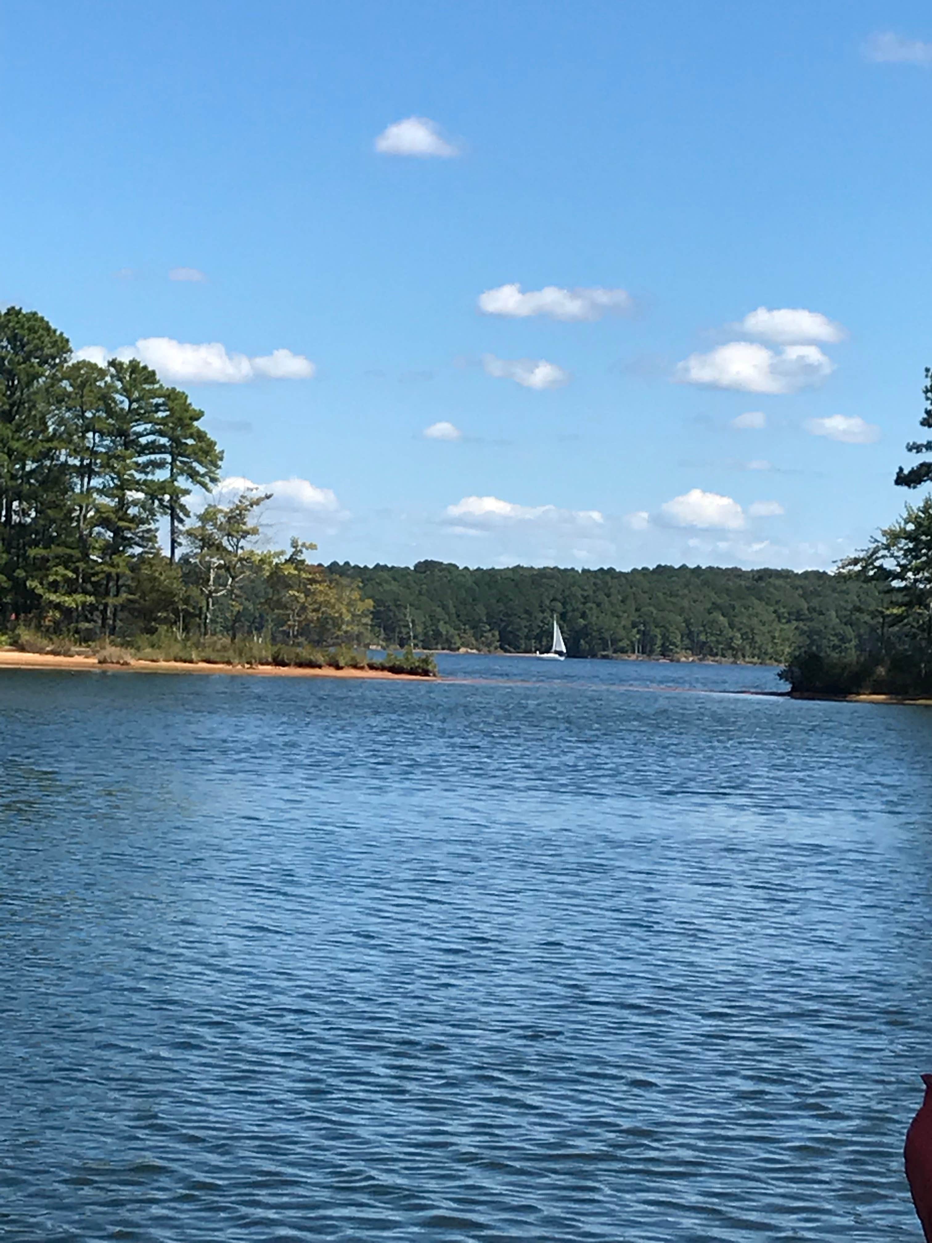 Camper-submitted photo at Piney Grove Campground near Fulton, MS