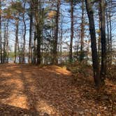 Review photo of Crystal Lake Campground — Northern Highland State Forest by Scott M., November 11, 2022