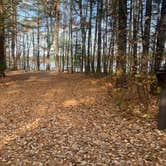 Review photo of Crystal Lake Campground — Northern Highland State Forest by Scott M., November 11, 2022