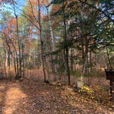 Review photo of Crystal Lake Campground — Northern Highland State Forest by Scott M., November 11, 2022