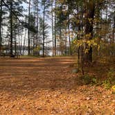 Review photo of Crystal Lake Campground — Northern Highland State Forest by Scott M., November 11, 2022