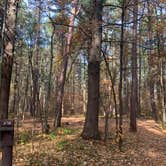 Review photo of Crystal Lake Campground — Northern Highland State Forest by Scott M., November 11, 2022