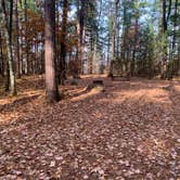 Review photo of Musky Lake Campground — Northern Highland State Forest by Scott M., November 11, 2022