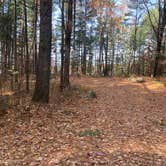 Review photo of Musky Lake Campground — Northern Highland State Forest by Scott M., November 11, 2022