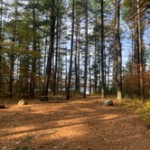 Review photo of Musky Lake Campground — Northern Highland State Forest by Scott M., November 11, 2022