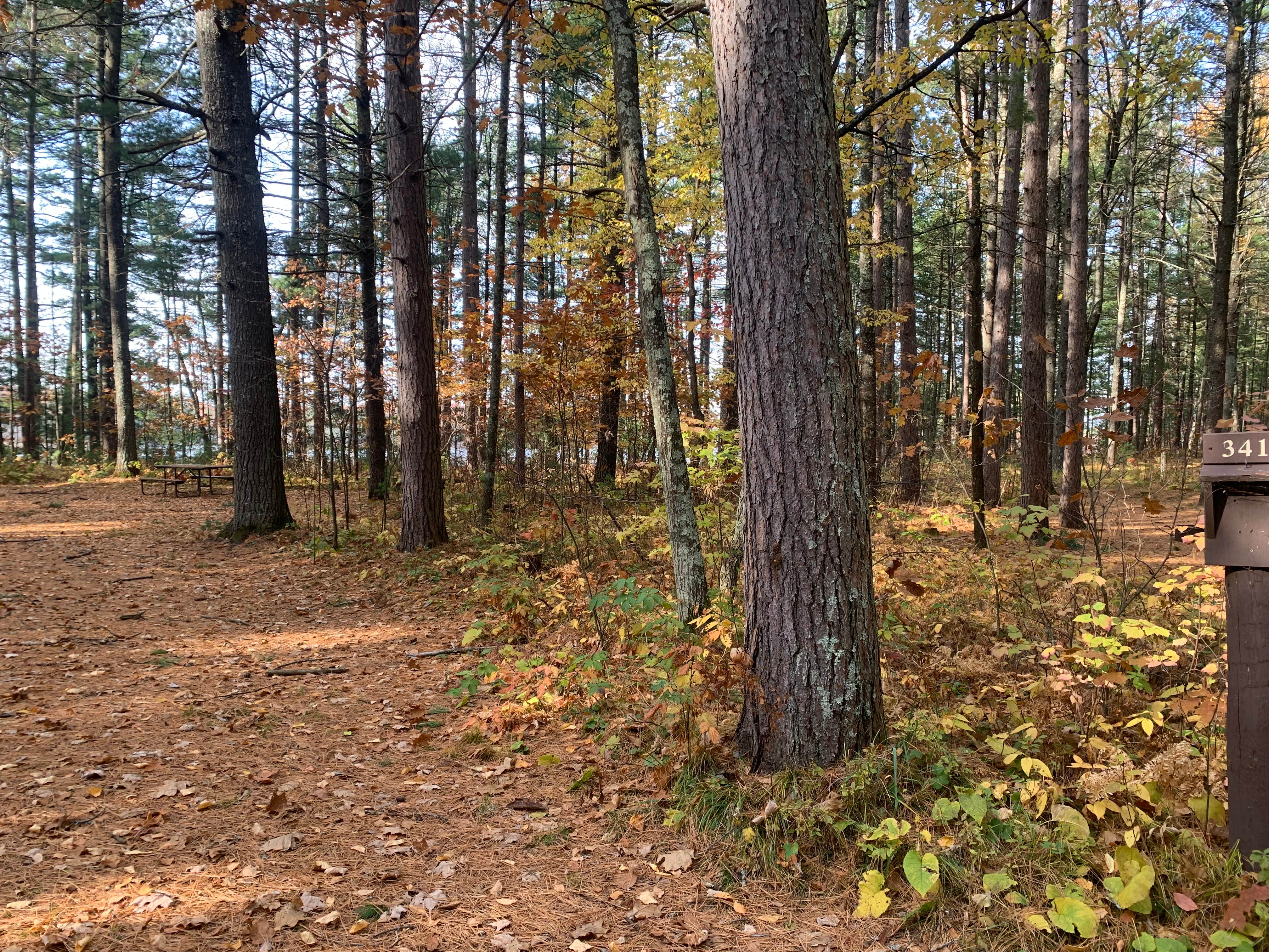 Camper-submitted photo at Musky Lake Campground — Northern Highland State Forest near Mercer, WI