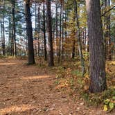 Review photo of Musky Lake Campground — Northern Highland State Forest by Scott M., November 11, 2022