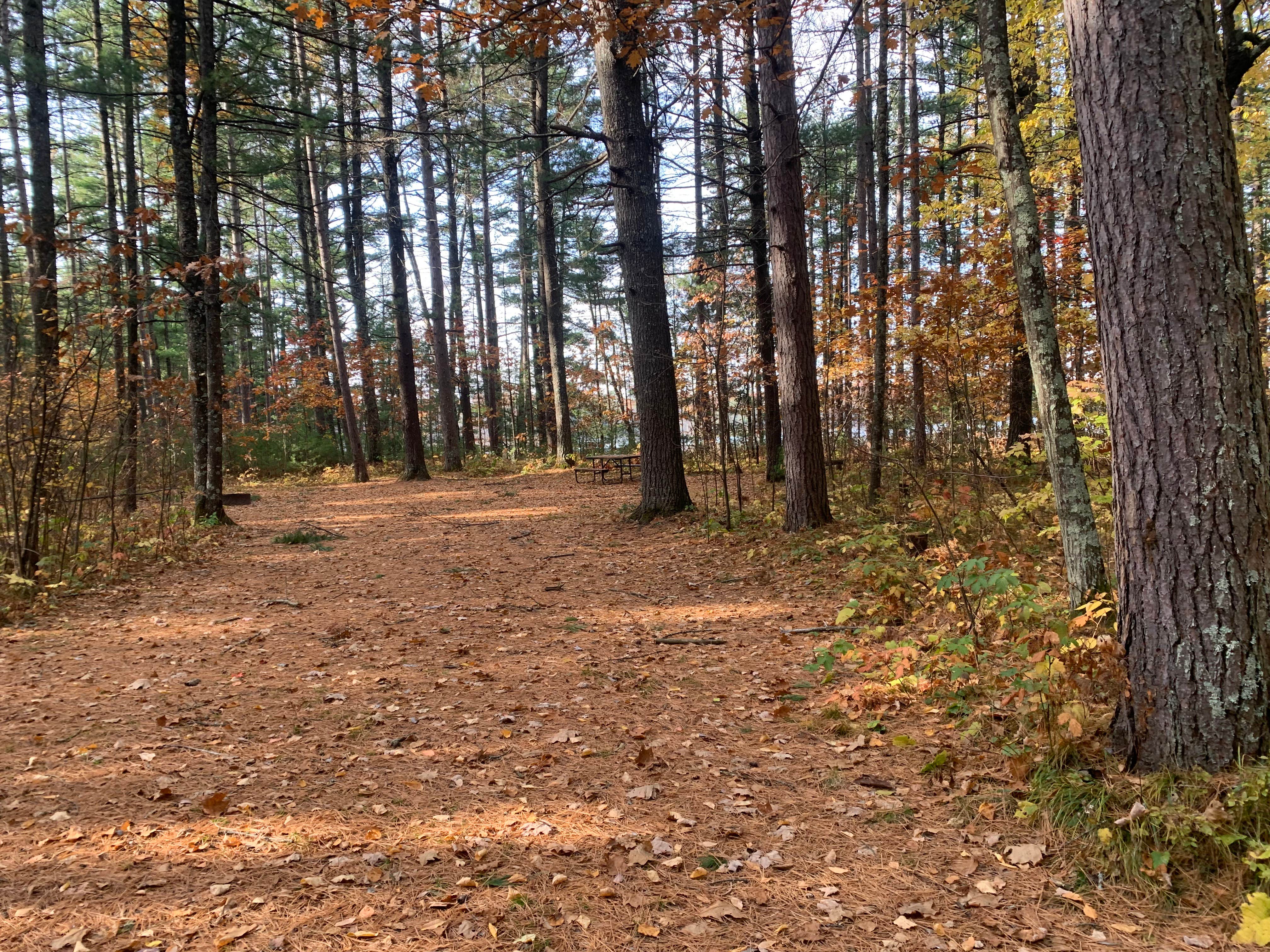 Camper-submitted photo at Musky Lake Campground — Northern Highland State Forest near Mercer, WI