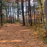 Review photo of Musky Lake Campground — Northern Highland State Forest by Scott M., November 11, 2022