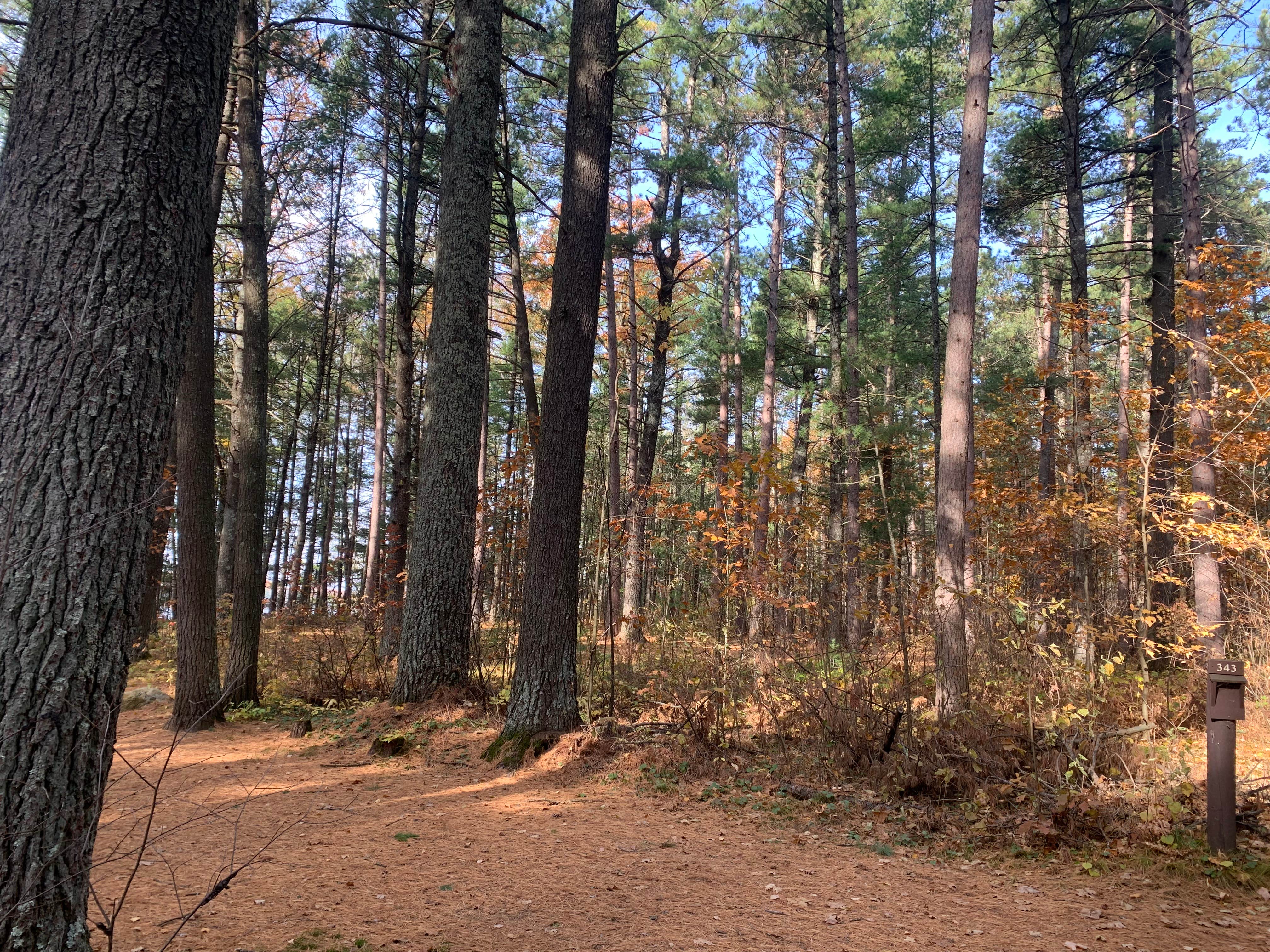 Camper-submitted photo at Musky Lake Campground — Northern Highland State Forest near Mercer, WI