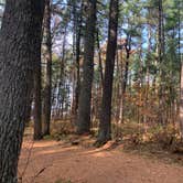 Review photo of Musky Lake Campground — Northern Highland State Forest by Scott M., November 11, 2022