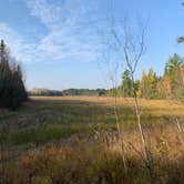 Review photo of Twin Lakes NF Campground by Scott M., November 11, 2022