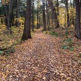 Review photo of Twin Lakes NF Campground by Scott M., November 11, 2022