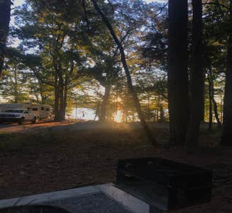 Camper-submitted photo from Piney Grove