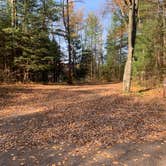 Review photo of Twin Lakes NF Campground by Scott M., November 11, 2022