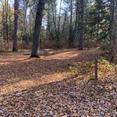 Review photo of Twin Lakes NF Campground by Scott M., November 11, 2022