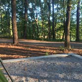 Review photo of Piney Grove Campground by Shana D., September 16, 2018