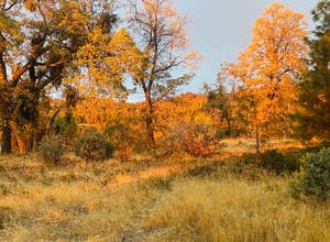 Road to Armenian Camp - Dispersed Spot