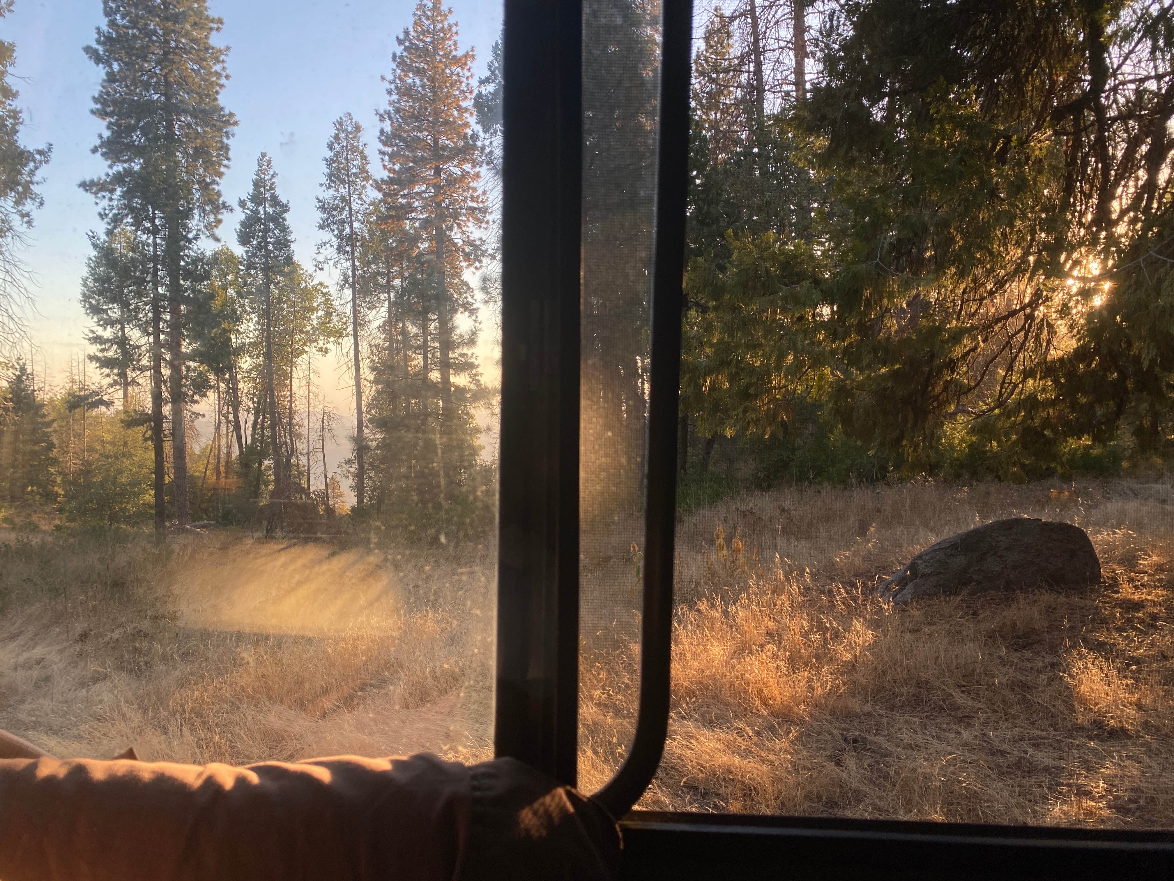 Camper submitted image from Sequoia Forest Hunting Area - FS 13597 - 5