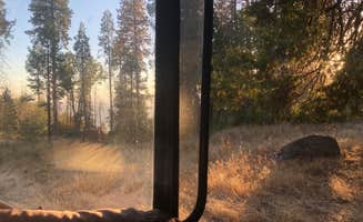 therealquaid D.'s photo of a dispersed camping area at Sequoia Forest Hunting Area - FS 13597 near Kaweah, CA