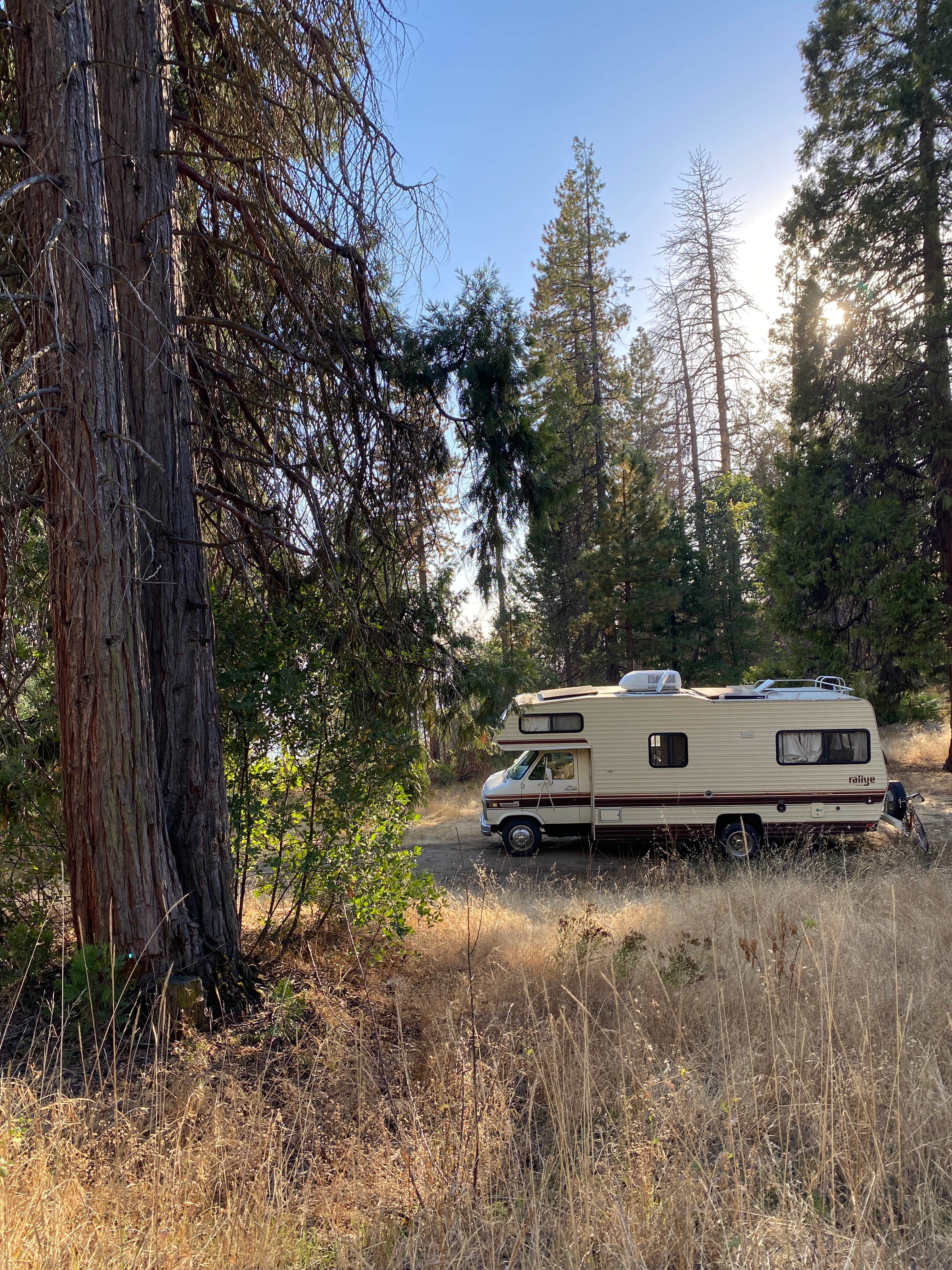 Camper-submitted photo at Sequoia Forest Hunting Area - FS 13597 near Sanger, CA