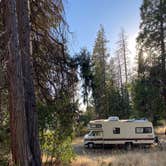 Review photo of Sequoia Forest Hunting Area - FS 13597 by therealquaid D., November 11, 2022