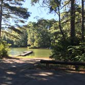 Review photo of Piney Grove Campground by Shana D., September 16, 2018