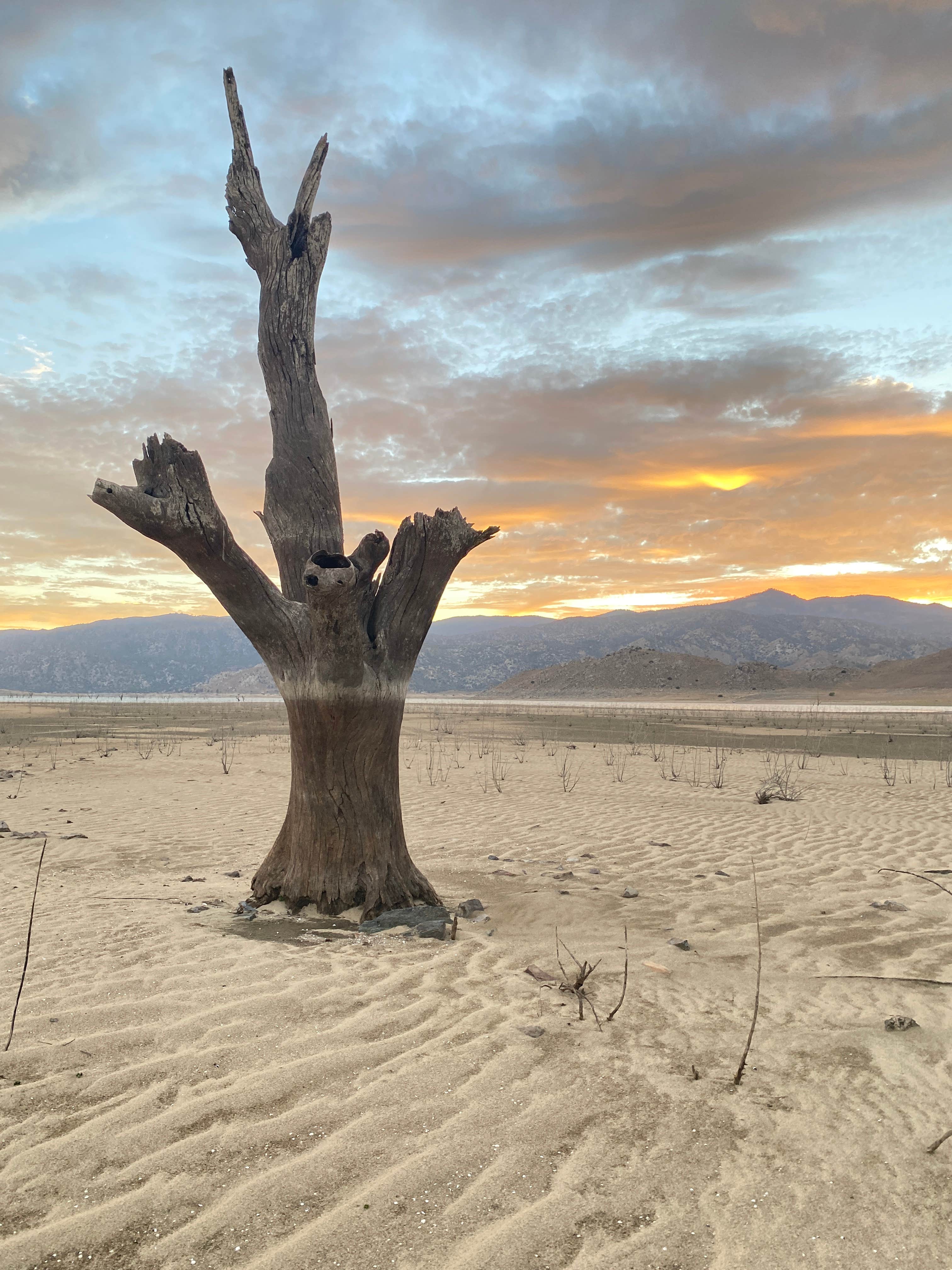 Camper-submitted photo at Stine Cove Recreation Site near Kernville, CA