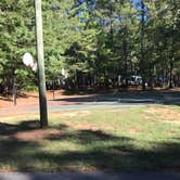 Review photo of Piney Grove Campground by Shana D., September 16, 2018