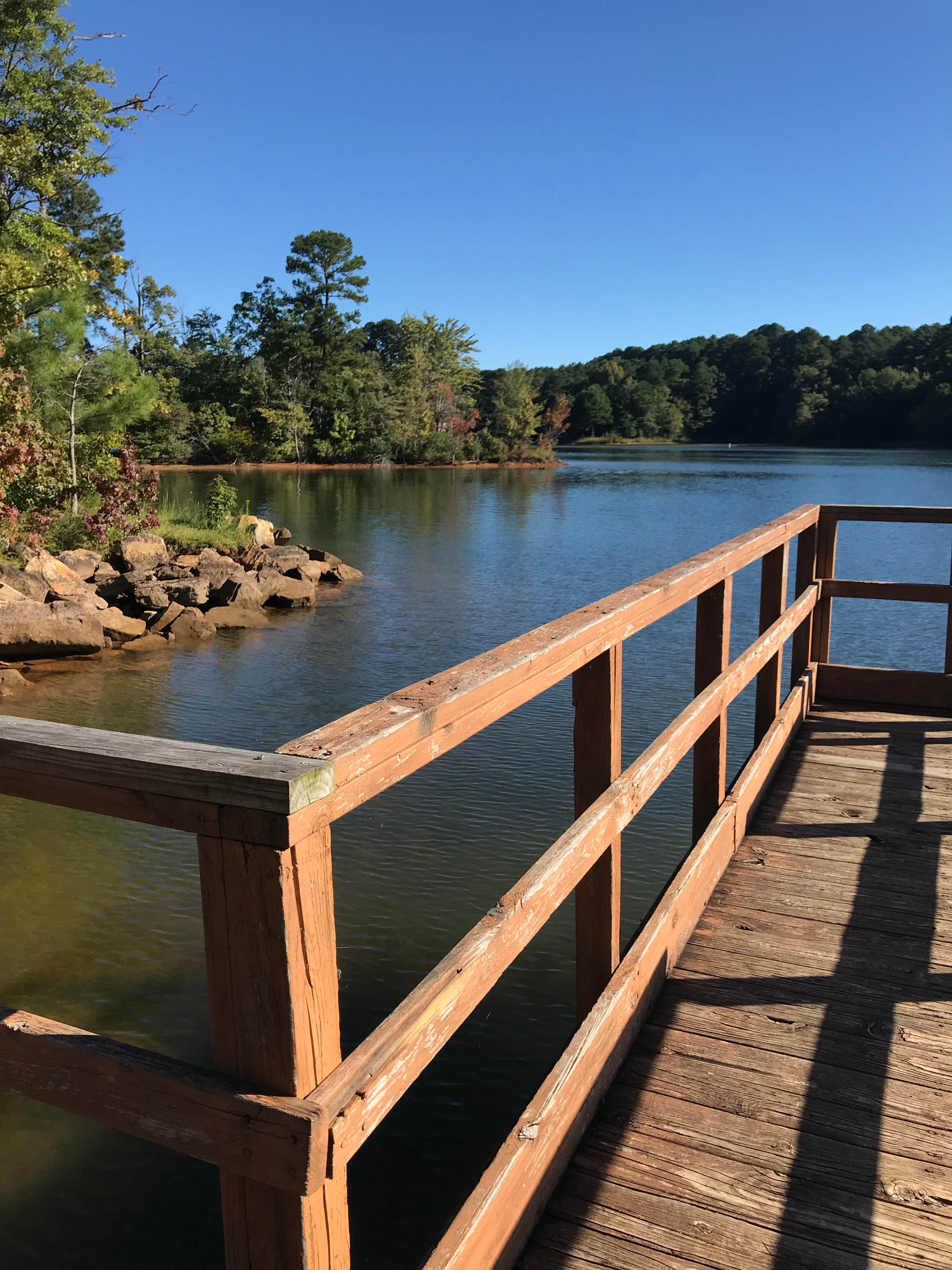 Camper submitted image from Piney Grove Campground - 4