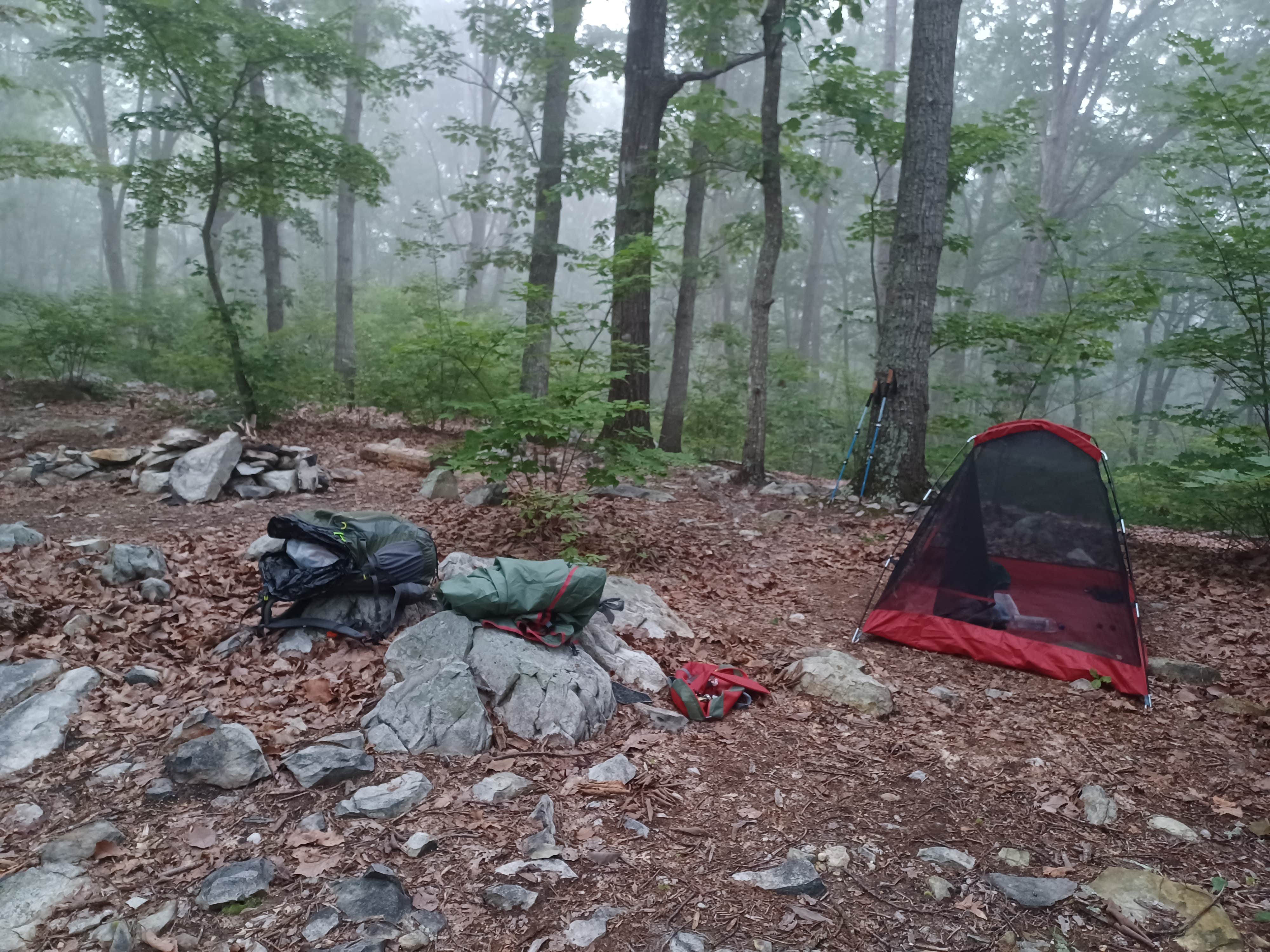Marvin D.'s photo at Uwharrie National Forest near Southern Pines, NC