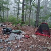 Review photo of Uwharrie National Forest by Marvin D., November 11, 2022