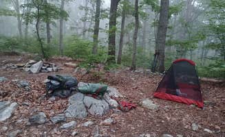 Marvin D.'s photo at Uwharrie National Forest near Rockingham, NC