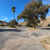 Review photo of Cottonwood Cove Campground — Lake Mead National Recreation Area by Greg L., November 11, 2022